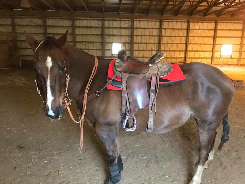 Red Saddle Pads!