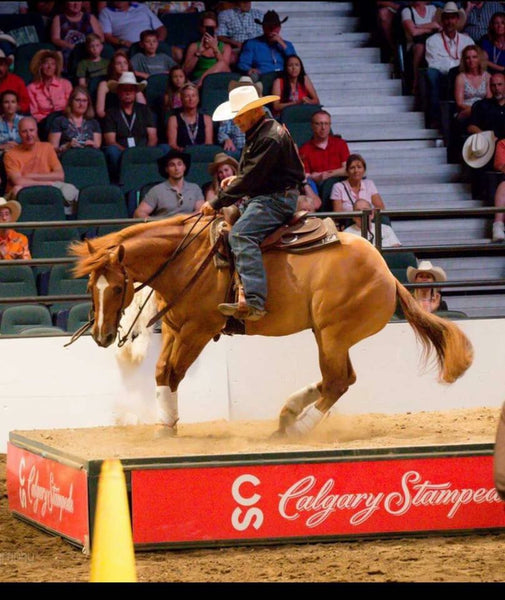 SPH Performance Gear shows up at the Calgary Stampede Show