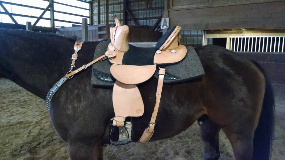 Mother-in-Law stole her saddle pad Lol