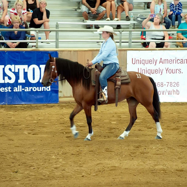 Extreme Mustang Challenge Trusts SPH Performance Gear