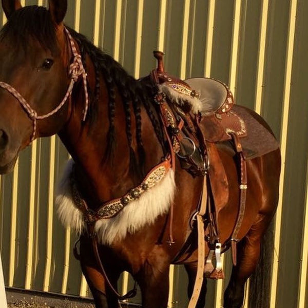 Another Barrel Racer