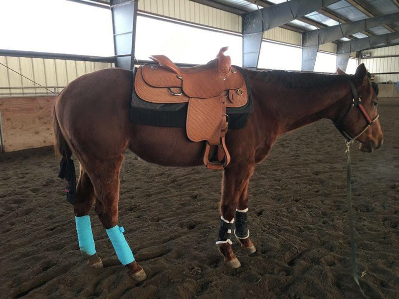 SPH saddle pad on a 2 year old!