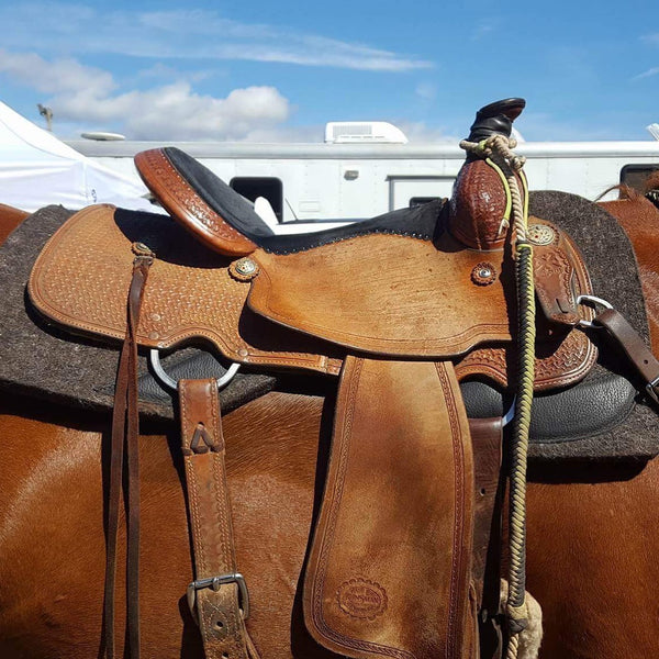 SPH in the Barrel Races