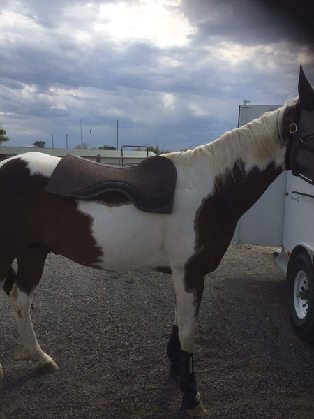 Happy Trail Horses